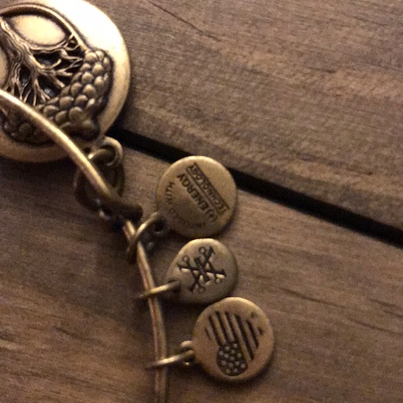 Alex and ani bracelet - Picture 2 of 4